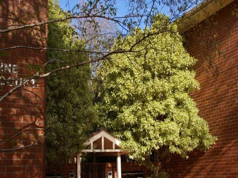 2/57-59 Lansdowne Road, St Kilda East VIC 3183