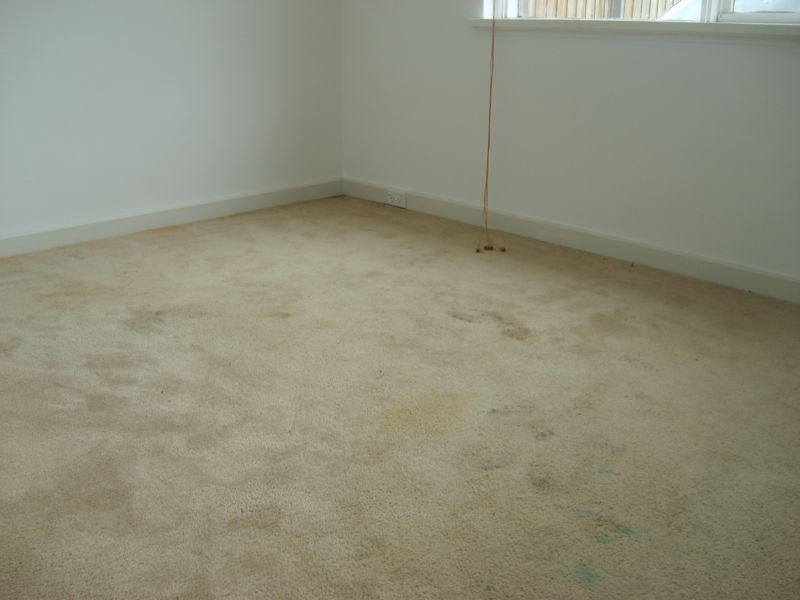 3/38 Elm Grove, St Kilda East VIC 3183