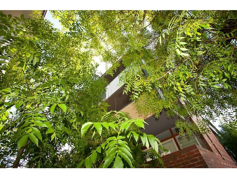 213/3 Greeves Street, St Kilda VIC 3182