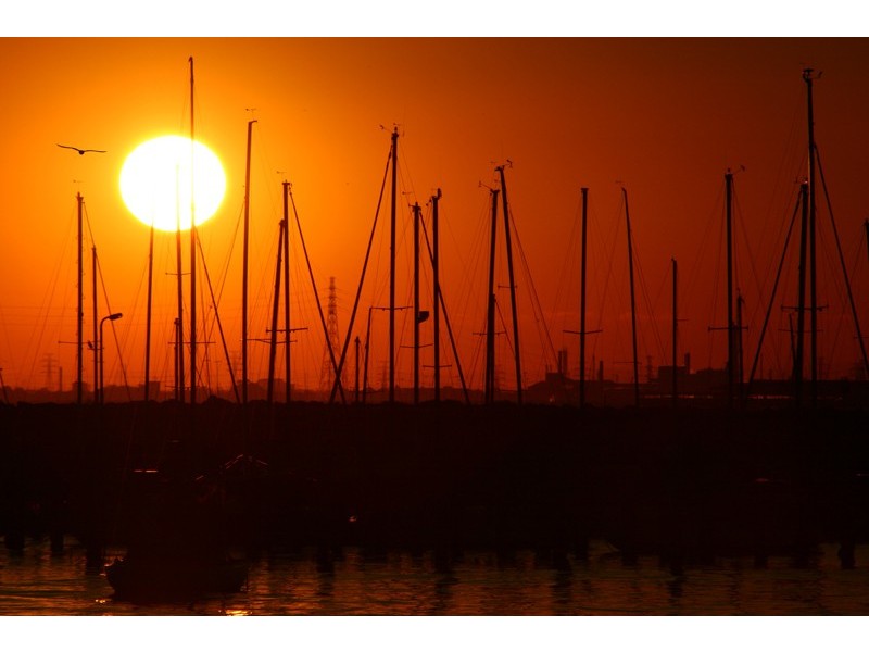 105/5 Greeves Street, St Kilda VIC 3182