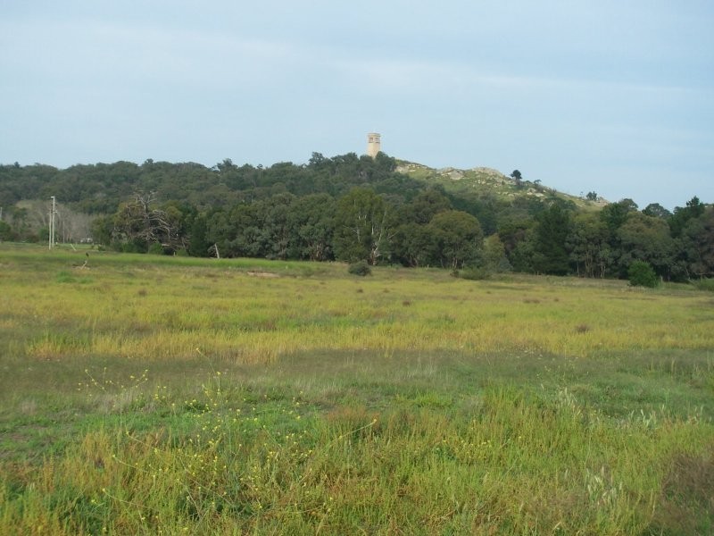 48 Common Street, Goulburn NSW 2580