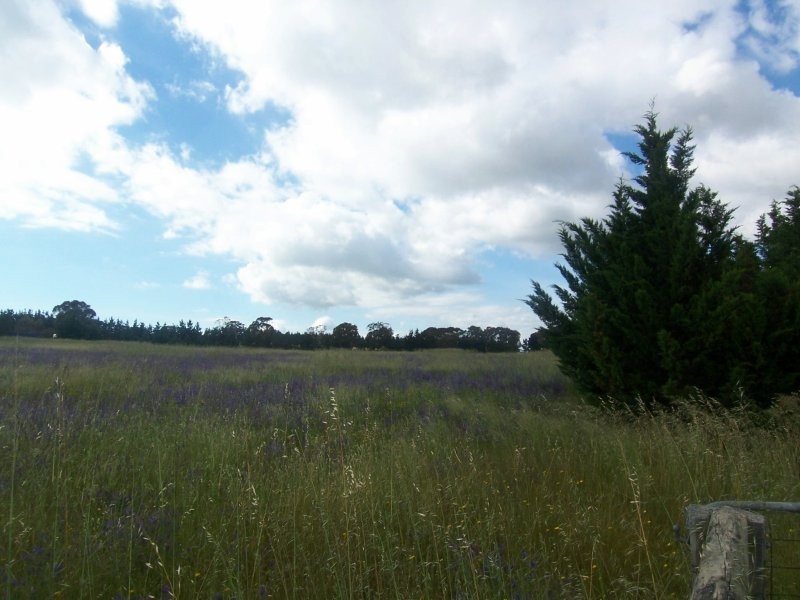 175 Ducks Lane, Goulburn NSW 2580