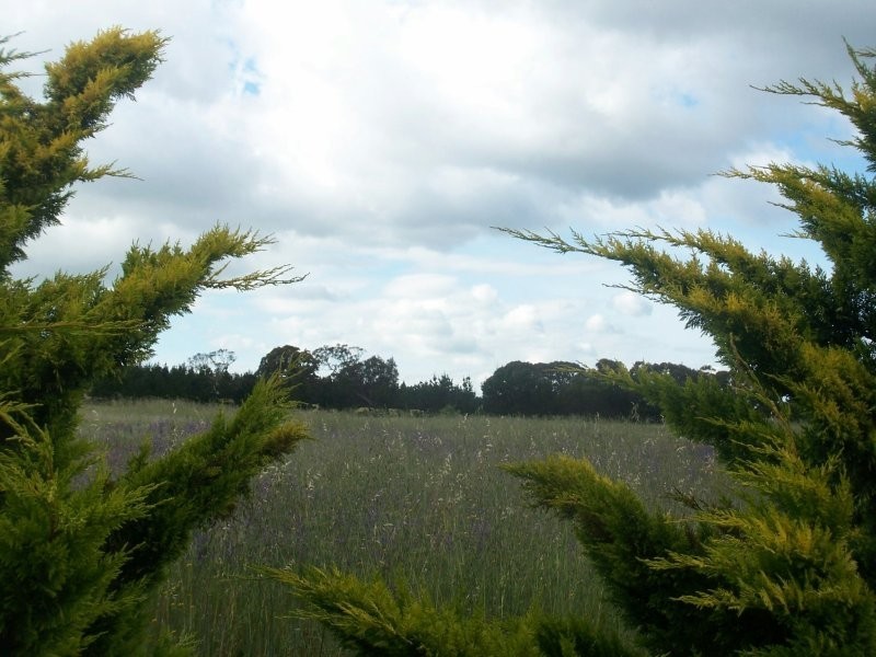 175 Ducks Lane, Goulburn NSW 2580