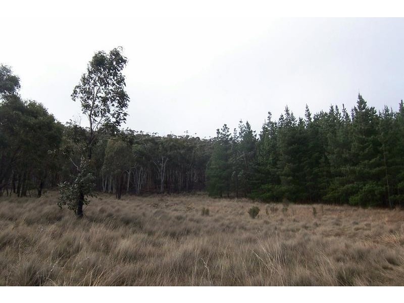 40 Mount Pedlar Road, Goulburn NSW 2580