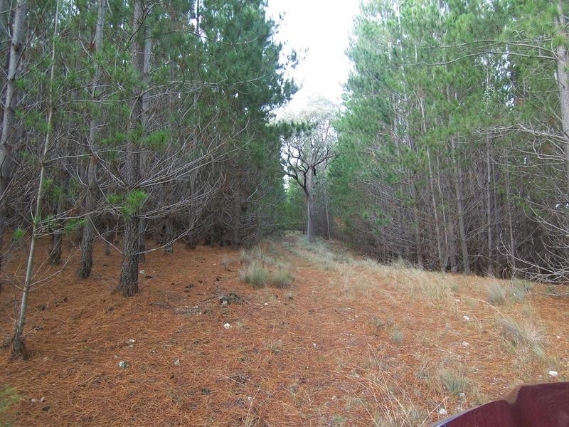 40 Mount Pedlar Road, Goulburn NSW 2580