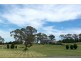 477 Mountain Ash Road, Goulburn NSW 2580