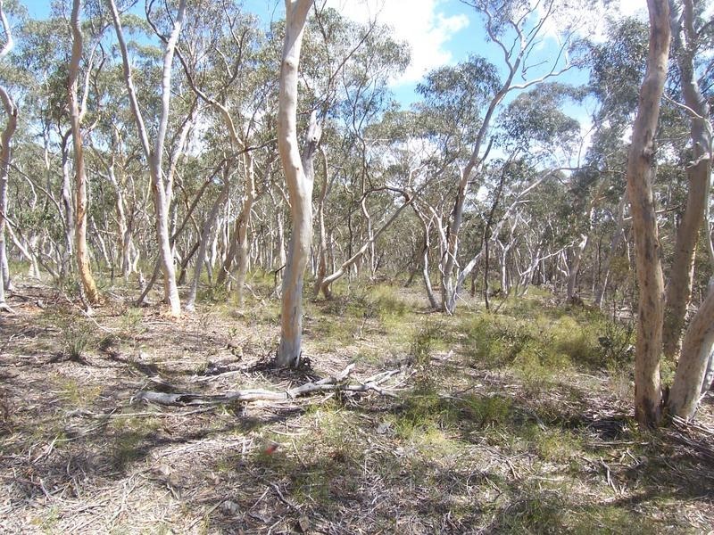 52 Wattle Place, Bungonia NSW 2580