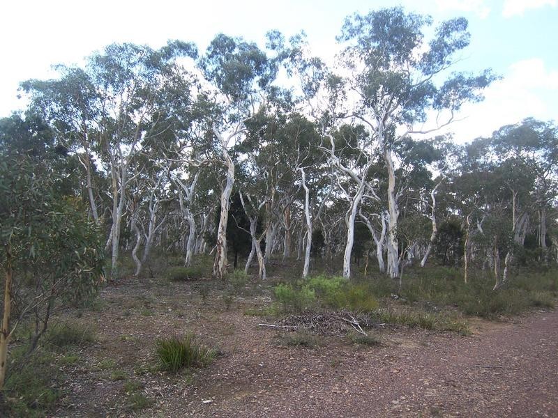 52 Wattle Place, Bungonia NSW 2580