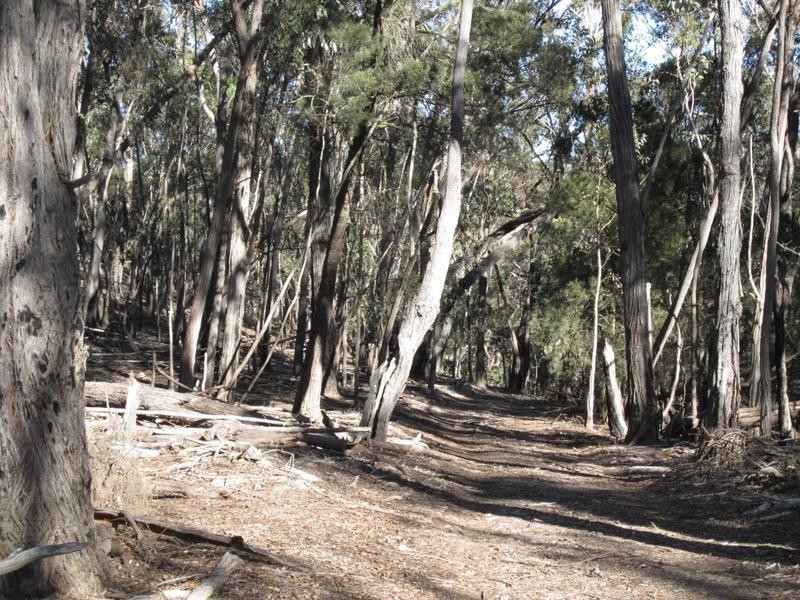 1471 Middle Arm Road, Goulburn NSW 2580