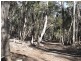 1471 Middle Arm Road, Goulburn NSW 2580