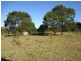 Lot 194-195,  248 McClellands Road, Goulburn NSW 2580