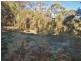 Lot 194-195,  248 McClellands Road, Goulburn NSW 2580