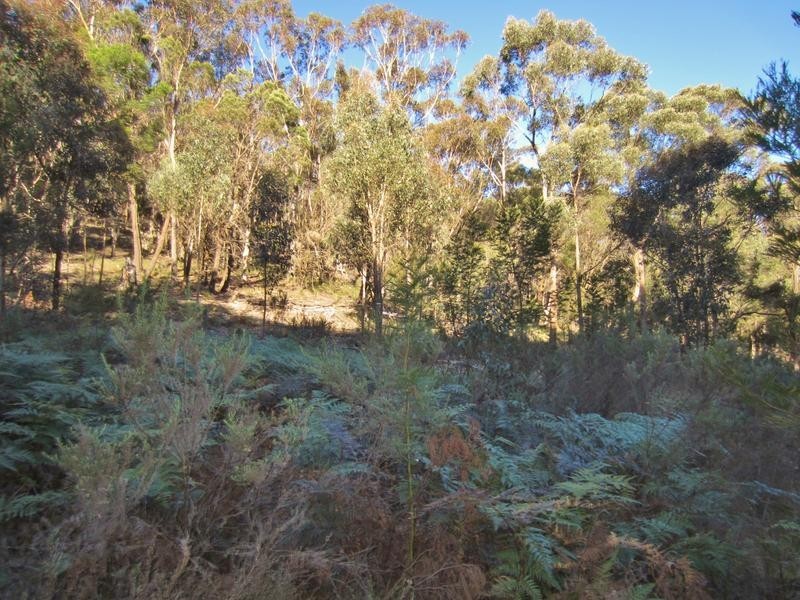 Lot 194-195,  248 McClellands Road, Goulburn NSW 2580