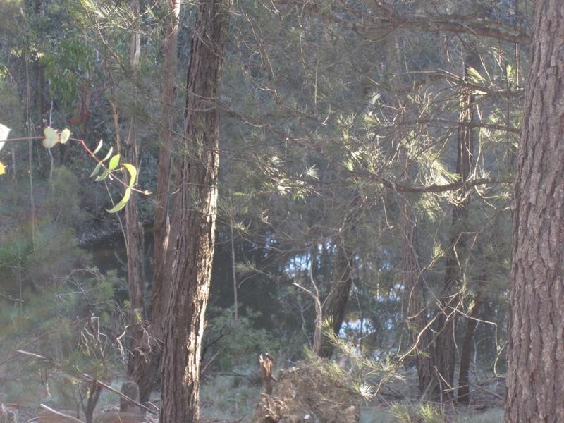 Lot 194-195,  248 McClellands Road, Goulburn NSW 2580