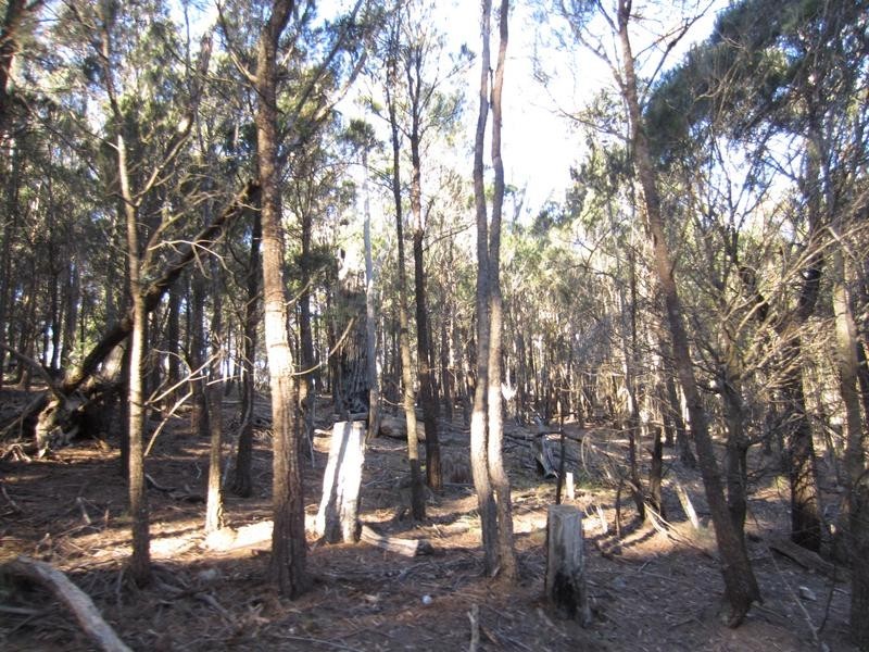 Lot 194-195,  248 McClellands Road, Goulburn NSW 2580