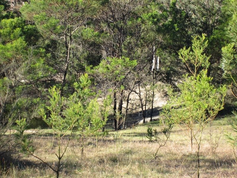 Lot 194-195,  248 McClellands Road, Goulburn NSW 2580