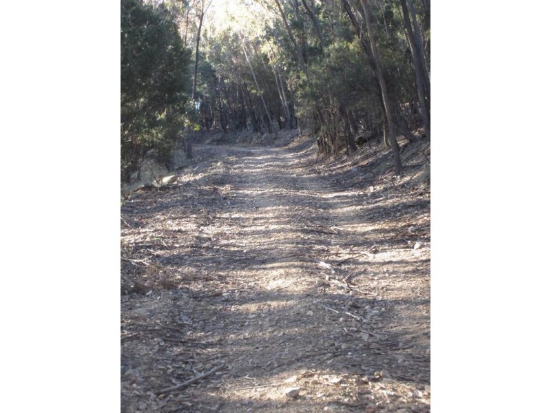 Lot 194-195,  248 McClellands Road, Goulburn NSW 2580