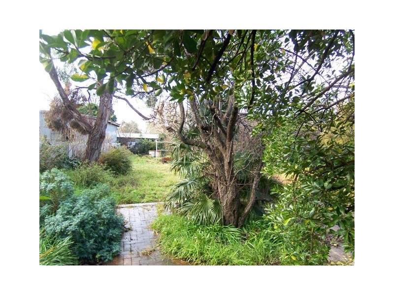 53 Citizen Street, Goulburn NSW 2580
