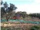 7 Bladwell Place, Goulburn NSW 2580