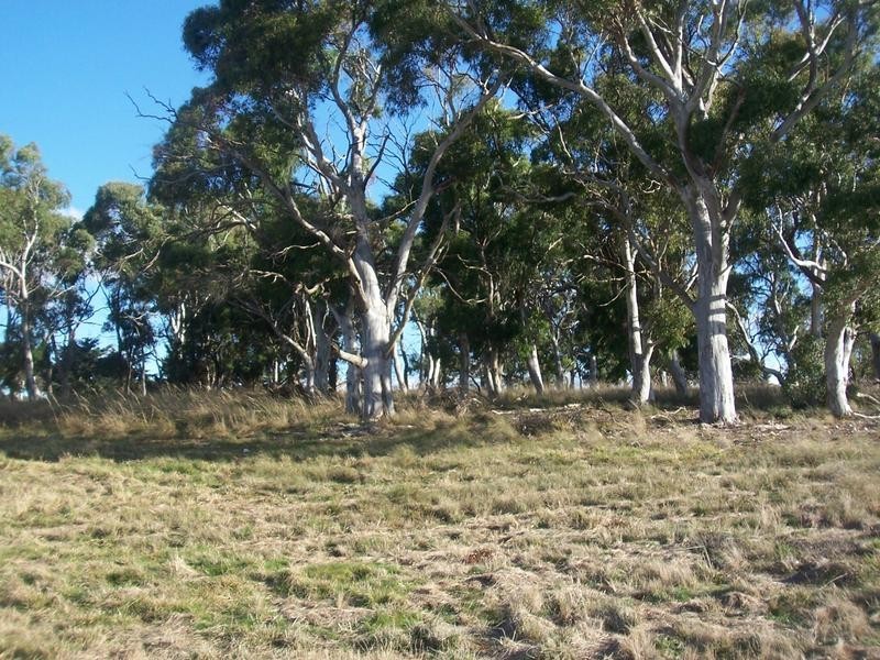 3702 Braidwood Road, Goulburn NSW 2580