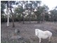 11 Gumnut Crescent, Bungonia NSW 2580
