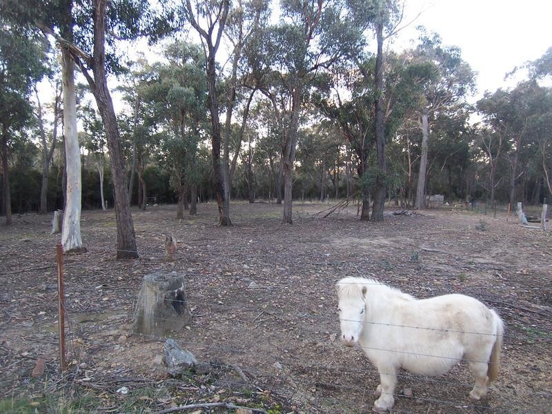 11 Gumnut Crescent, Bungonia NSW 2580