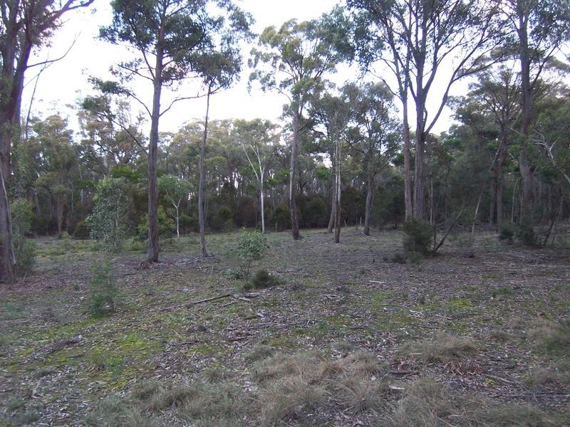 11 Gumnut Crescent, Bungonia NSW 2580
