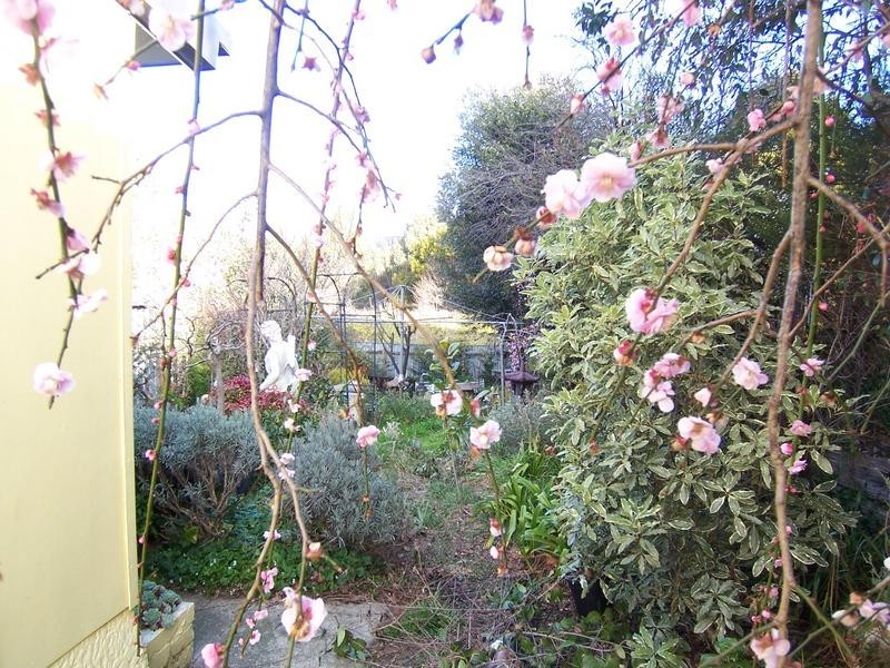 137 Grafton Street, Goulburn NSW 2580