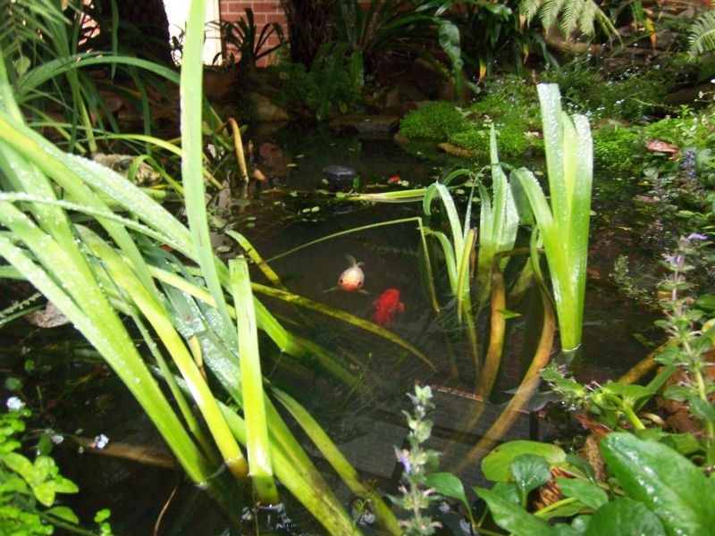 33 Run O Waters Drive, Goulburn NSW 2580