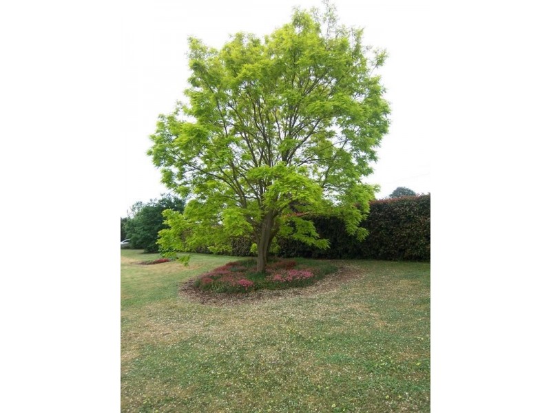 33 Run O Waters Drive, Goulburn NSW 2580