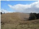 Lot 1, 431 Towrang Road, Towrang NSW 2580