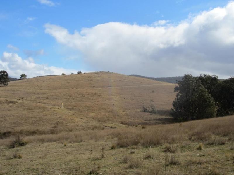 Lot 1, 431 Towrang Road, Towrang NSW 2580