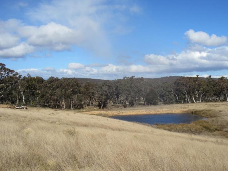 Lot 1, 431 Towrang Road, Towrang NSW 2580
