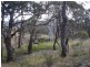 Lot 1, 431 Towrang Road, Towrang NSW 2580