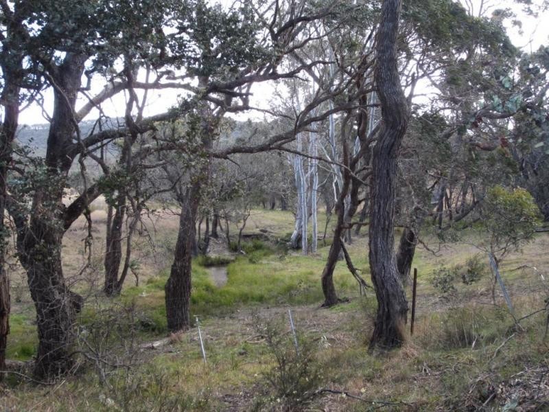Lot 1, 431 Towrang Road, Towrang NSW 2580