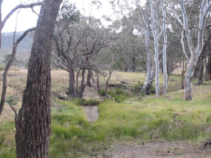 Lot 1, 431 Towrang Road, Towrang NSW 2580