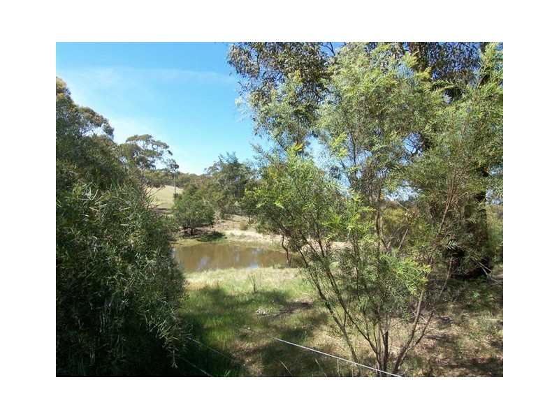 311 Forest Siding Road, Goulburn NSW 2580
