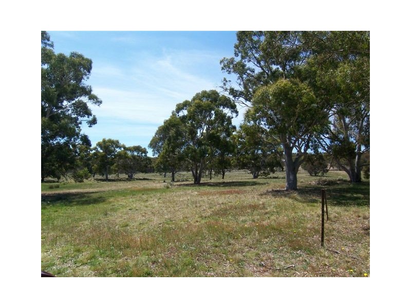 311 Forest Siding Road, Goulburn NSW 2580