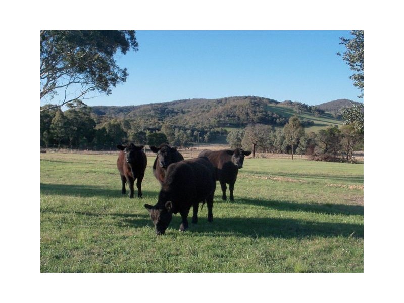 398 Forest Siding Road, Goulburn NSW 2580