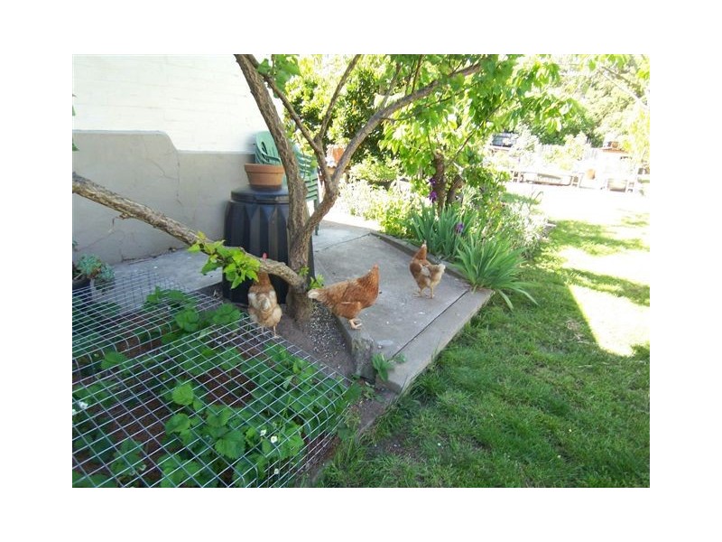 11 Mayor Street, Goulburn NSW 2580