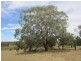 177 Run-O-Waters Drive, Goulburn NSW 2580