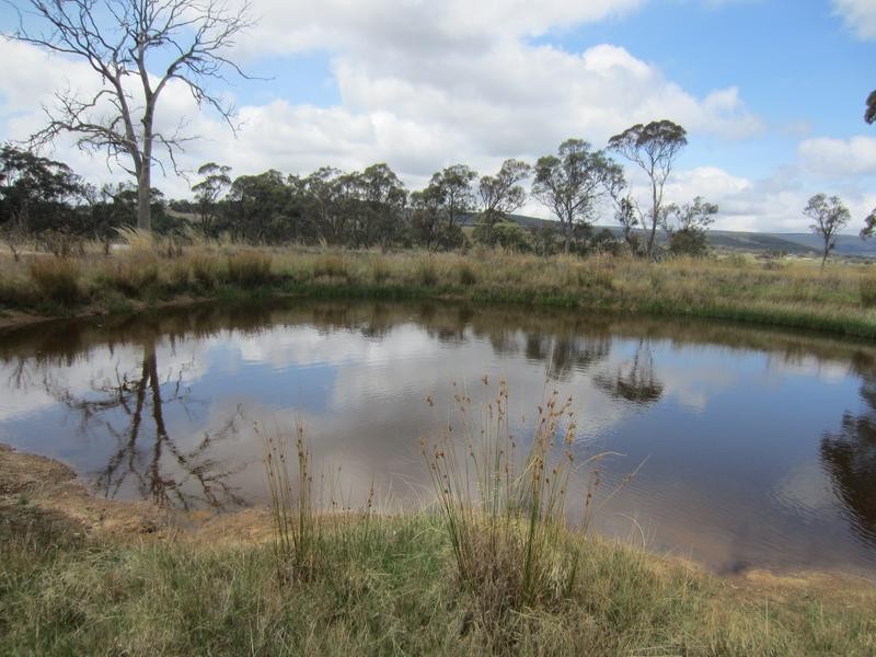 279 MIddle Arm Road, Goulburn NSW 2580