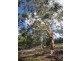 80 Roberts Road, Windellama NSW 2580