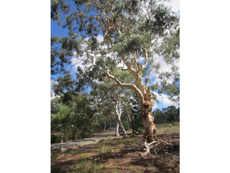 80 Roberts Road, Windellama NSW 2580