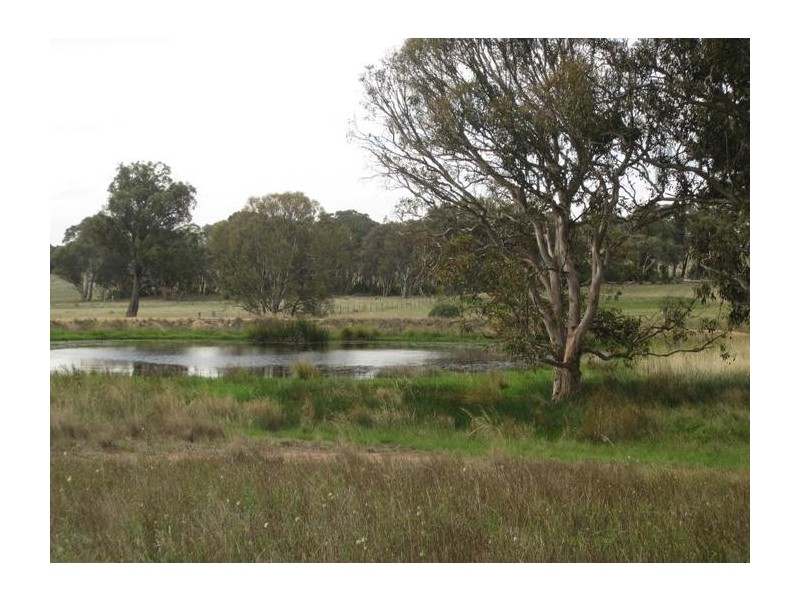 194 Shaws Creek Road (off Rosemount Road), Goulburn NSW 2580