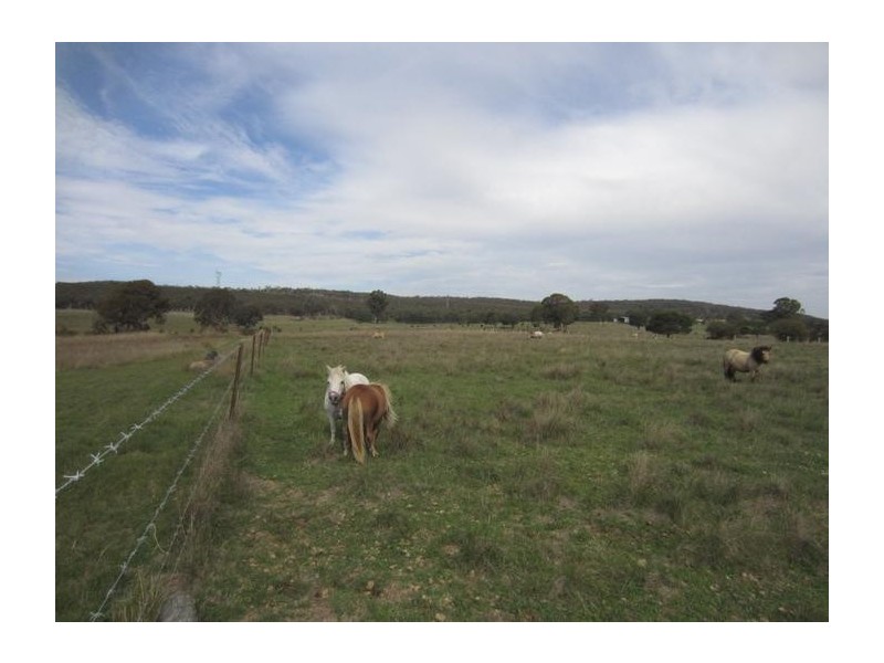 194 Shaws Creek Road (off Rosemount Road), Goulburn NSW 2580