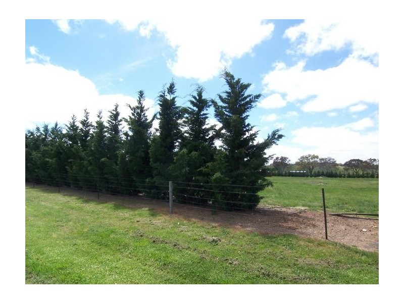 Lot 4 & 6, 115 Bonnett Drive, Goulburn NSW 2580