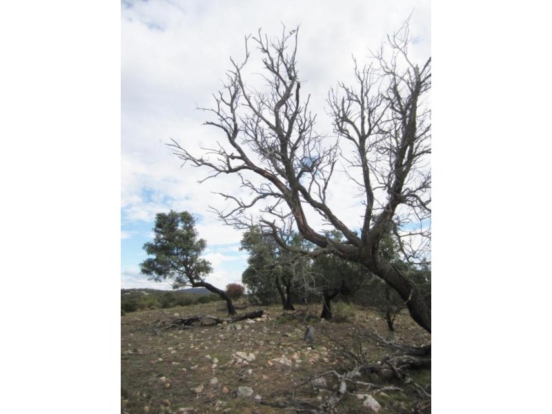 Lot 4, 98-108 Gorman Road, Goulburn NSW 2580