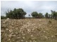 Lot 4, 98-108 Gorman Road, Goulburn NSW 2580