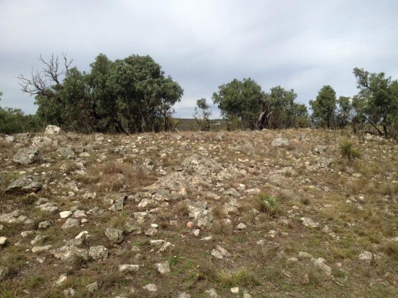 Lot 4, 98-108 Gorman Road, Goulburn NSW 2580